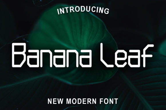 Banana Leaf Font: A Display Typeface for Bold Visual Campaigns