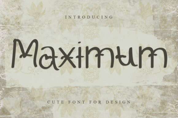 Maximum Font Review for Brand Designers